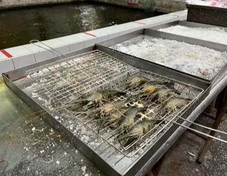 台北24小時餐廳 台北24小時餐廳