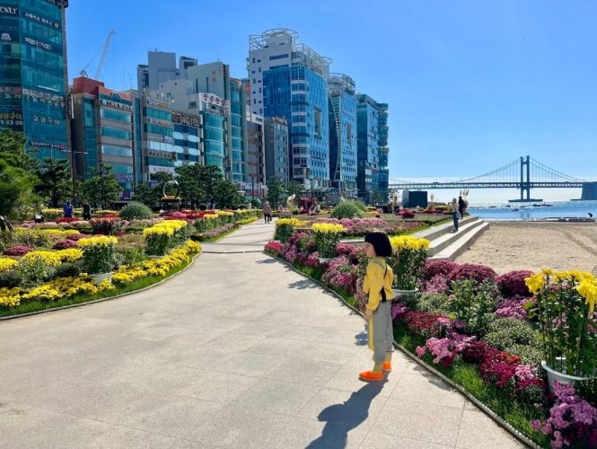 海雲台到廣安里交通 海雲台到廣安里交通