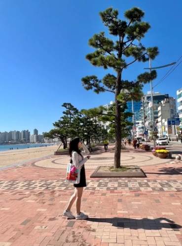 海雲台到廣安里交通 海雲台到廣安里交通