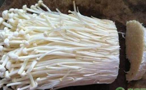 金針菇真空包裝變質判斷