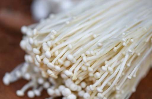 真空包裝金針菇保存期限