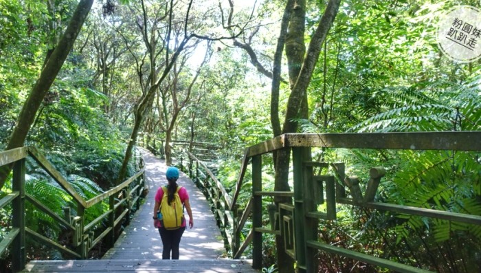 溪頭環狀步道交通