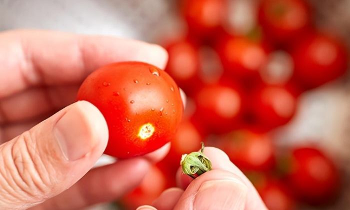 番茄冷凍期限 番茄冷凍期限
