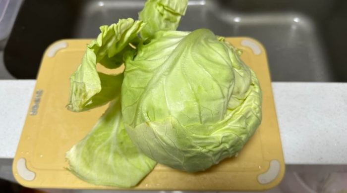 高麗菜保存技巧