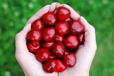 櫻桃清潔技巧 櫻桃清潔技巧