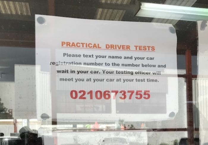 紐西蘭駕照規定