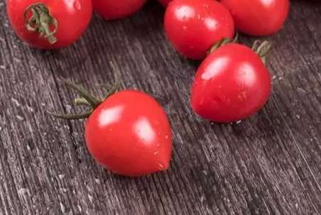 番茄冷凍保存時間 番茄冷凍保存時間