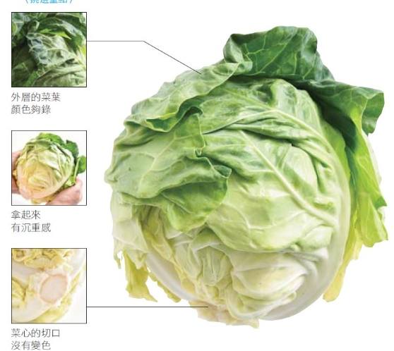 高麗菜保鮮