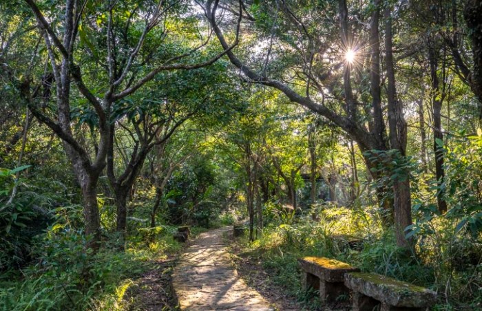 碧溪步道公車時刻表