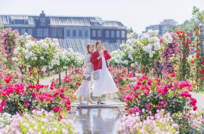 福岡親子遊行程