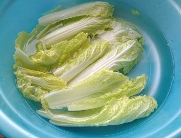 高山蔬菜清洗技巧