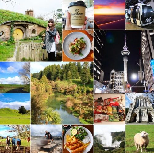 紐西蘭10天行程費用