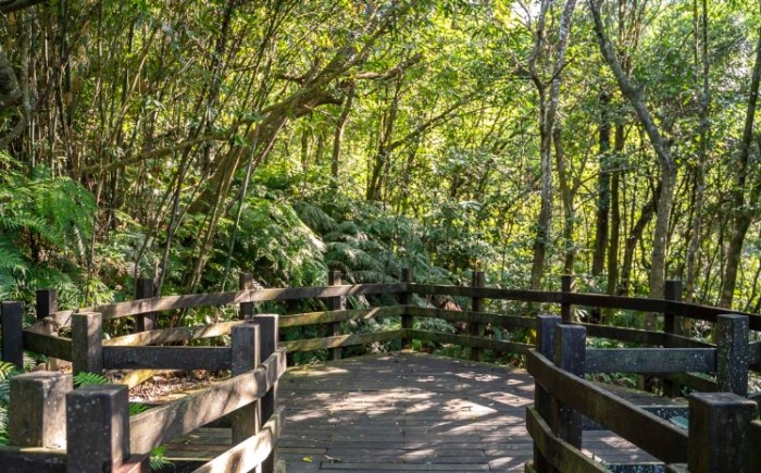 碧溪步道公車時刻表