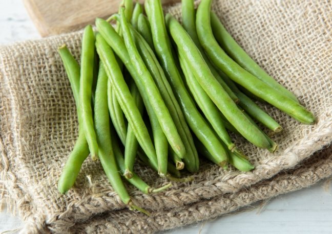 狗可以吃豆類嗎