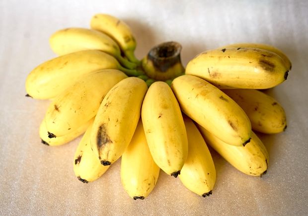 香蕉藥物相互作用