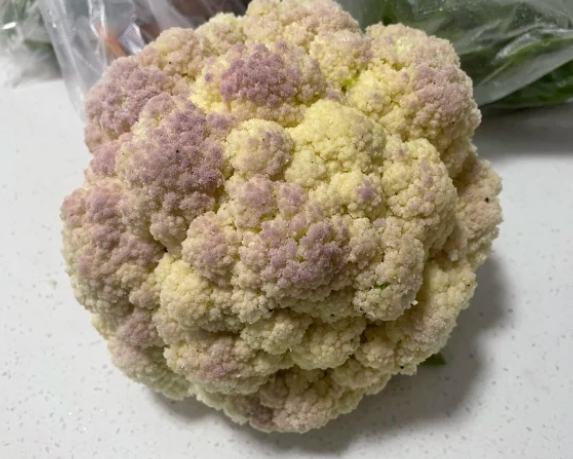 防止白花椰菜變色