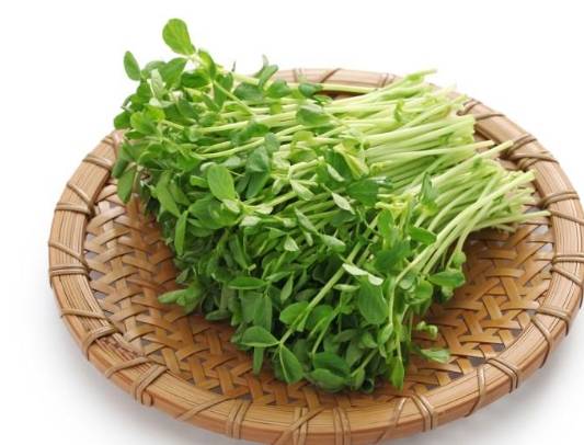 豌豆苗食用注意