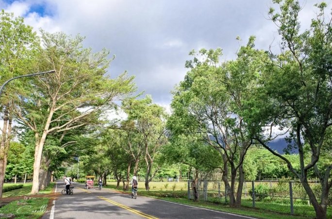開車遊花東景點