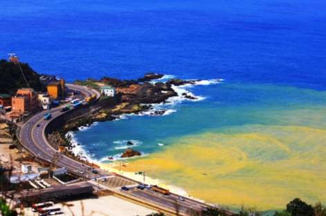 野柳十分一日遊交通