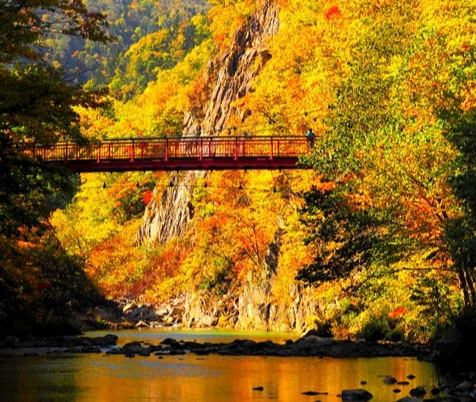 定山溪紅葉季節