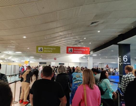 紐西蘭申報流程