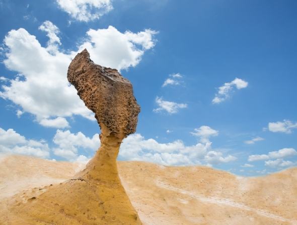 北海岸一日遊交通