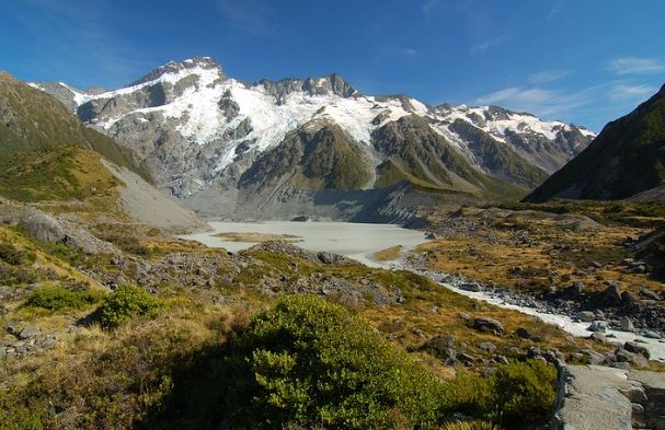 紐西蘭旅遊申報