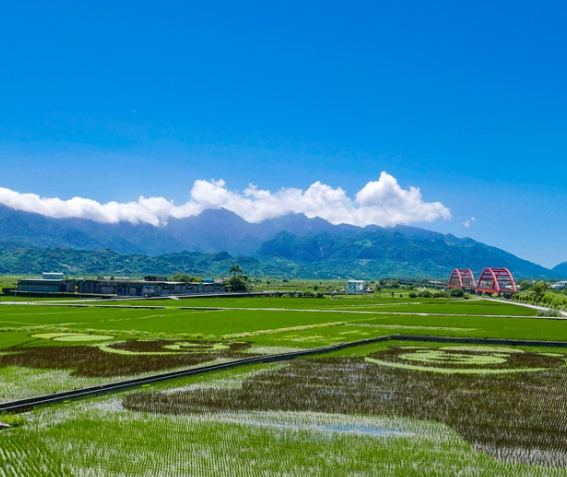 花蓮自由行規劃