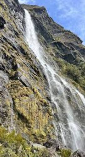 入境紐西蘭鞋類規定