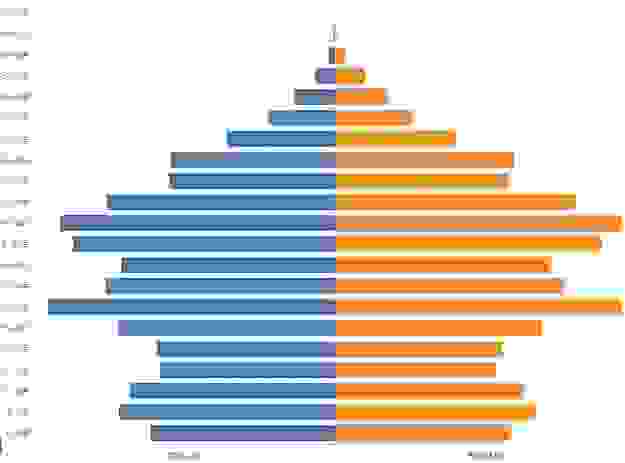 紐西蘭年齡結構