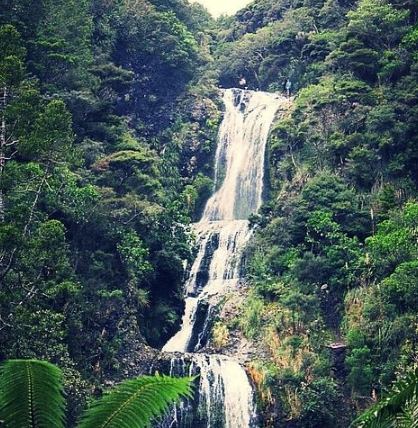奧克蘭免費旅遊