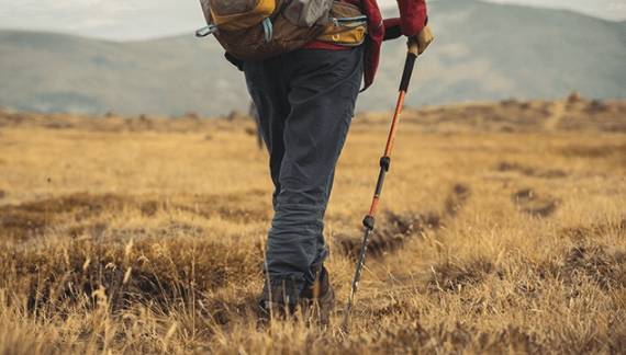 紐西蘭入境鞋子申報