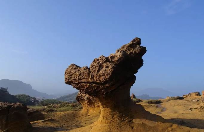 女王頭參觀時間