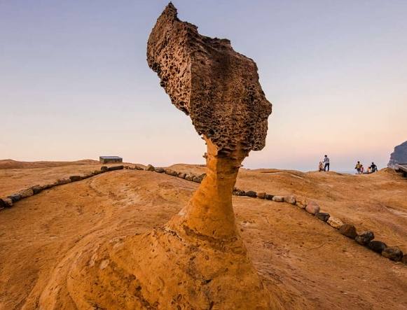 女王頭參觀時間