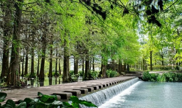 台東花蓮行程規劃