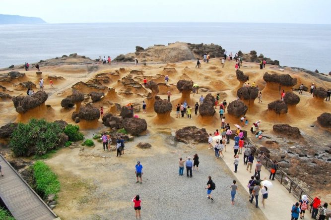 女王頭參觀時間