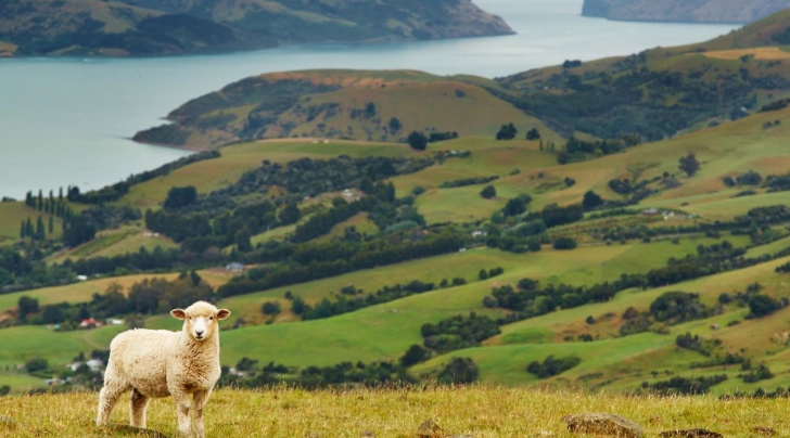 紐西蘭南島天氣