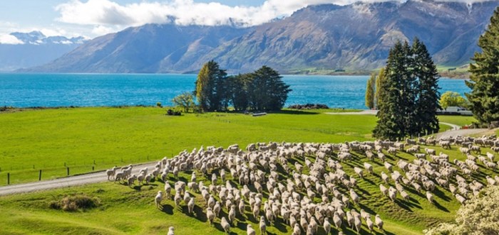 紐西蘭旅遊省錢