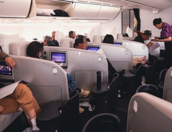 紐航經濟艙選擇 紐航經濟艙選擇