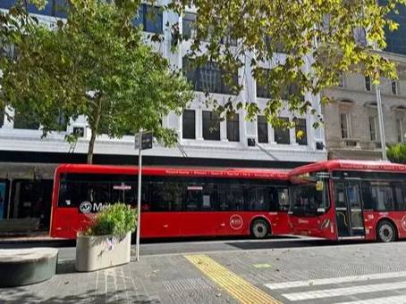 紐西蘭自由行攻略