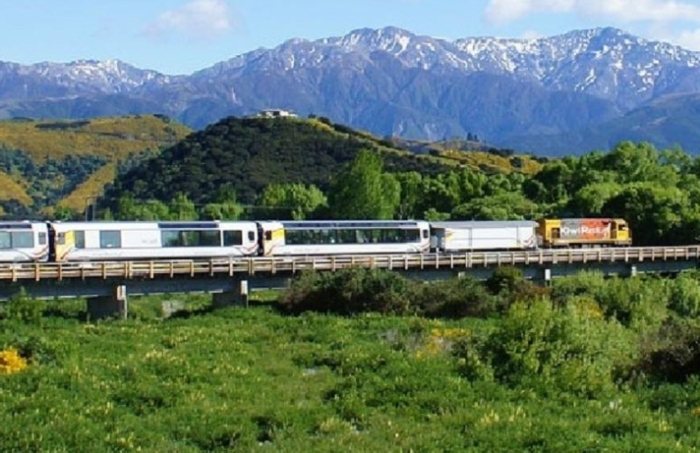 紐西蘭公車路線