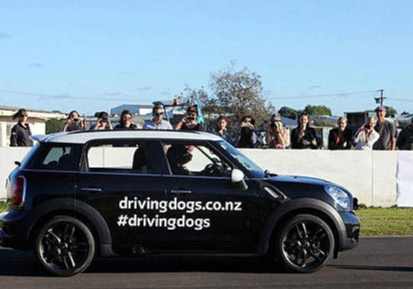 紐西蘭駕照考試