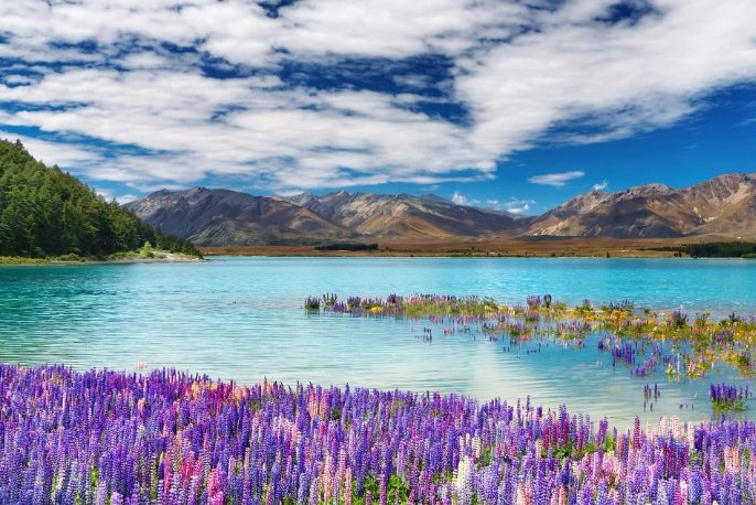 紐西蘭淡季旅遊