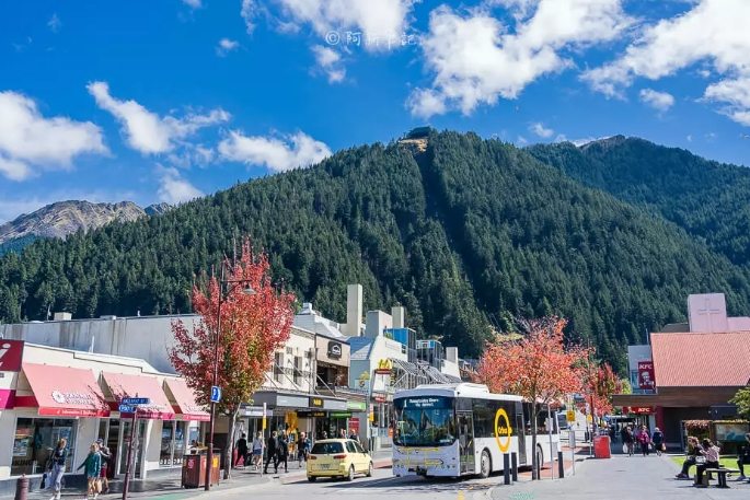 紐西蘭公車路線