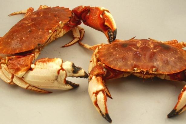 腸胃炎恢復飲食 腸胃炎恢復飲食