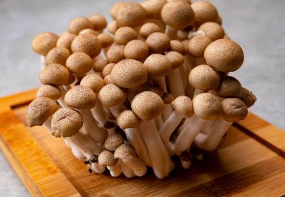 鴻禧菇保存技巧 鴻禧菇保存技巧