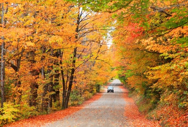 白山自然景觀 白山自然景觀
