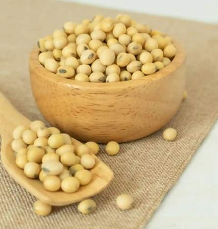 九陽豆漿機黃豆用量