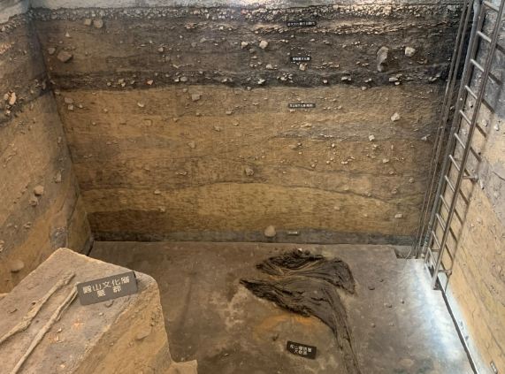 台中恐龍主題展 台中恐龍主題展