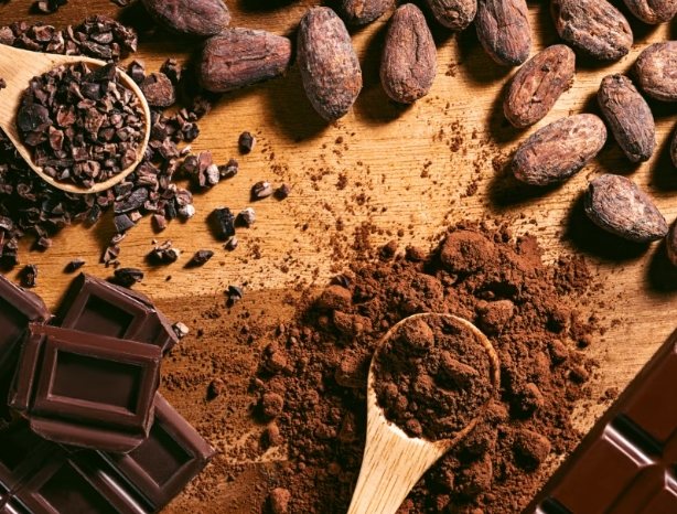 狗狗飲食禁忌 狗狗飲食禁忌